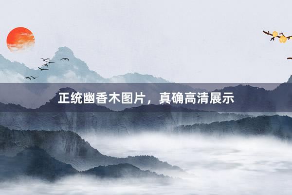 正统幽香木图片，真确高清展示