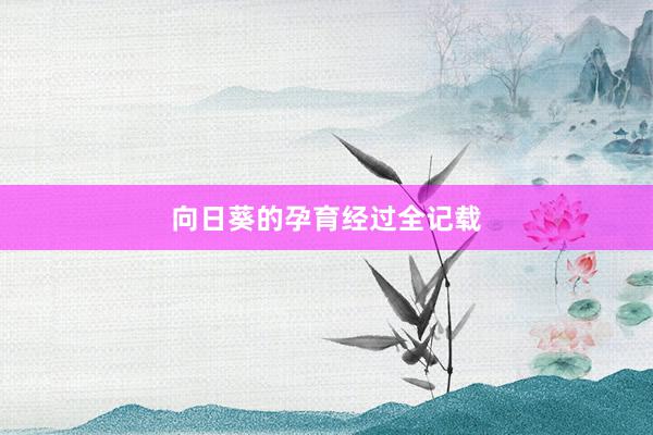 向日葵的孕育经过全记载
