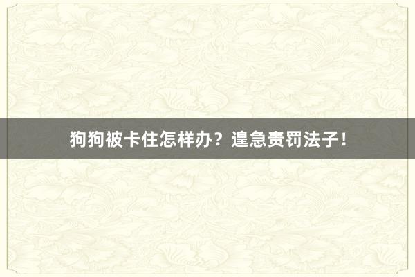 狗狗被卡住怎样办?遑急责罚法子!