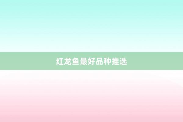 红龙鱼最好品种推选