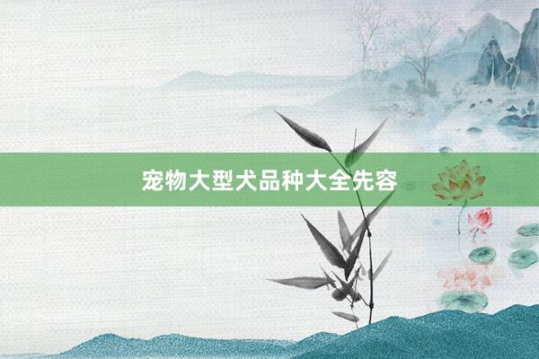 宠物大型犬品种大全先容